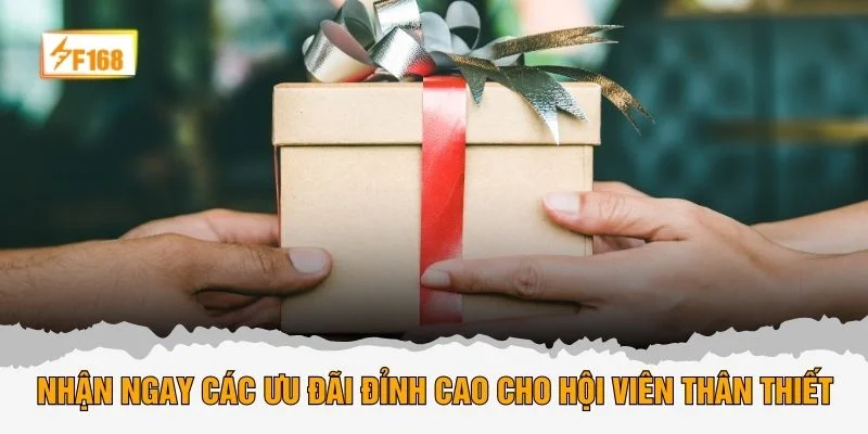 Nhận ngay các ưu đãi đỉnh cao cho hội viên thân thiết